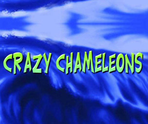 Crazy Chameleons