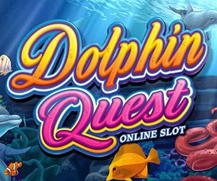 Dolphin Quest