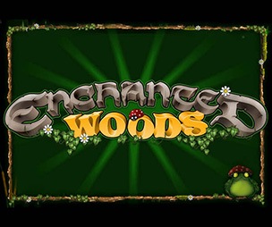 Enchanted Woods