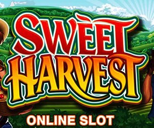 Sweet Harvest