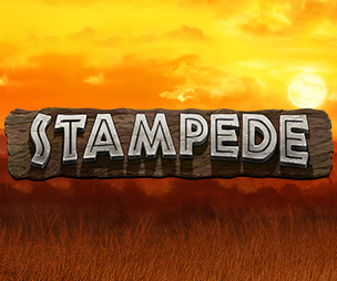 Stampede