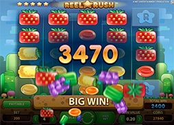 Reel Rush online slot