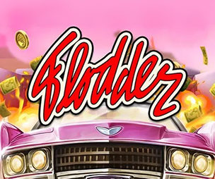 Flodder