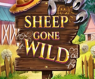 Sheep Gone Wild