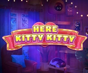 Here Kitty Kitty