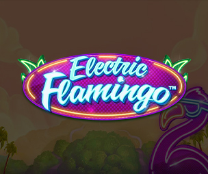 Electric Flamingo