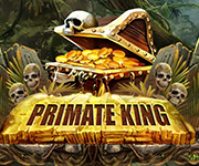 Primate King